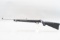 (R) Ruger Model 10/22 .22LR Stainless Rifle