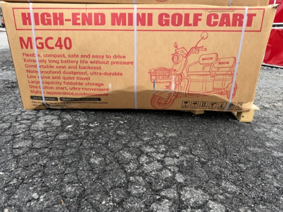(2X) New SDLANCH MGC40 Mini Golf Cart