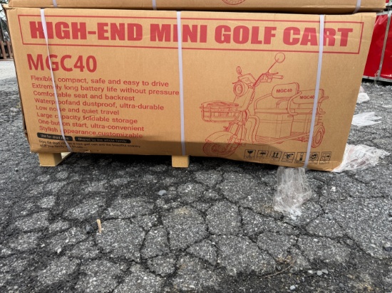 (2X) New SDLANCH MGC40 Mini Golf Cart