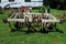 DMI 8.5' field cultivator;