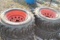 10-16.5 Foam Filled Bobcat tires, 8-bolt, one has a few cuts in the tread