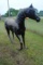 Fiberglass Horse Statue
