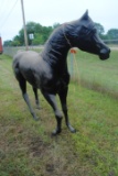 Fiberglass Horse Statue