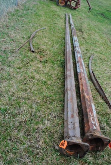 25' Light pole with brace
