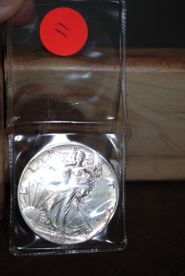 1990 Silver Eagle, spotted