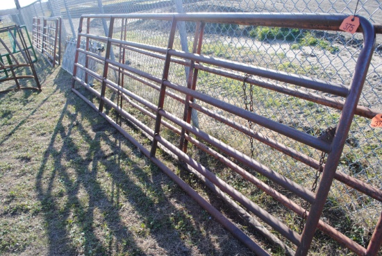 16' Red Pipe Gate