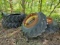 Used agriculture/implement/tractor tires (4); 2 have rims