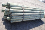 Approximately 44 8' long green treated posts, 4