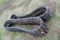Set of Tracks off of 325G John Deere - one is 12