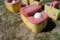 Ritchie Thrift King CT2-2000 waterer