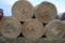 10 round bales of 4'x5' net wrapped grass hay, 10 Times the money