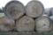 10 round bales of 4'x5' net wrapped CRP hay, 10 Times the money