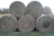 6 Round bales of 4'x5' net wrapped grass hay, sell 6 times the money