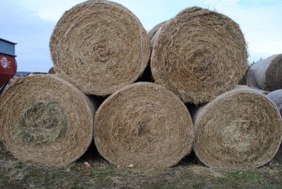 10 round bales of 4'x5' net wrapped grass hay, 10 Times the money