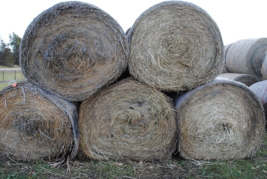 10 round bales of 4'x5' net wrapped CRP hay, 10 Times the money
