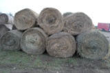 11 Round Bales of 4'x4' net wrapped grass hay, sell 11 times the money