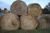8 round bales of 4'x5' net wrapped CRP hay, 8 times the money