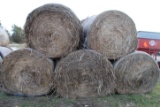 10 round bales of 4'x5' net wrapped CRP hay, 10 Times the money