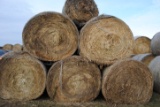 10 round bales of 4'x5' net wrapped grass hay, 10 Times the money