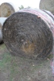 2 Round Bales 4'x5.5' net wrapped grass hay, sell 2 times the money