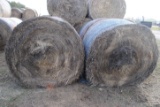 4 Round Bales of 4'x5' net wrapped grass hay, sell 4 times the money