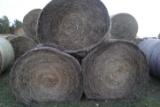 5 Round Bales of 4'x5' net wrapped grass hay, sell 5 times the money