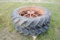 Firestone 11-38 tires on spoke wheels