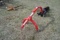 Field Master 3-pt post hole Auger, pto