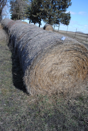 4'x4' Round Bales of Twined Grass Hay baled in 2022, stored outside (sell 20 times the money). Buyer
