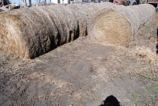 16 Round Bales of Twined Grass Hay baled in 2023, stored outside (sell 16 times the money). Buyer is