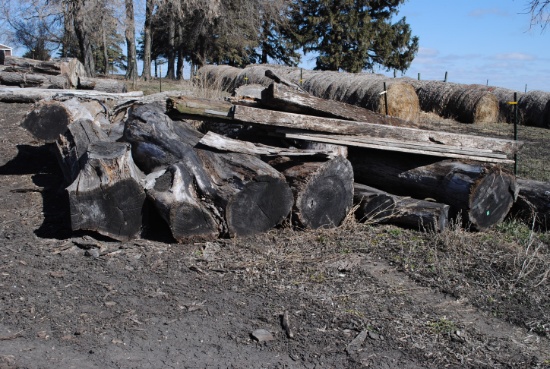 Approx. 20+/- Cord of Logs, mostly black walnut. Buyer is responsible for removal.