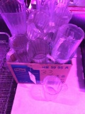 Water Pitcher Variety Package