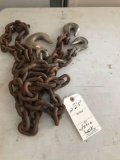 Short spliced log chain w/ 1 extra hook