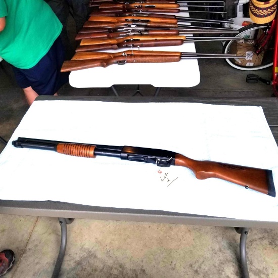 Schultz Gun Auction