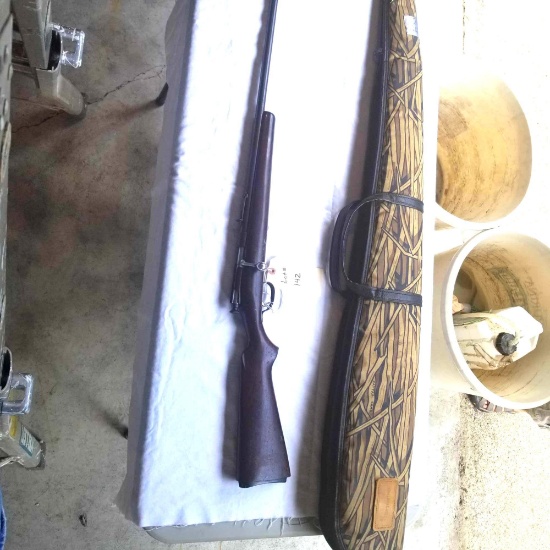 Savage Model 33 .22 rifle