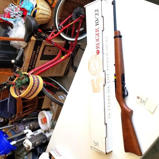 RUGER 10/22, .22