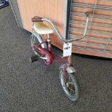 Schwinn lil tiger