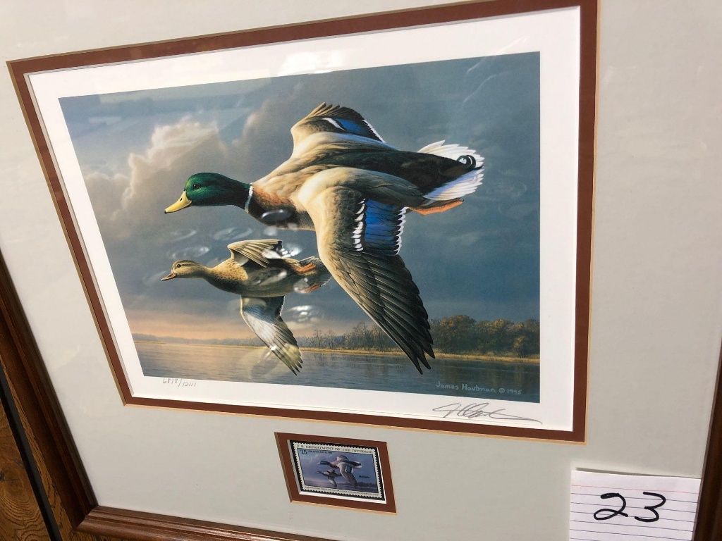 ducks unlimited painting