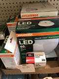 Assortment LED Light Bulbs