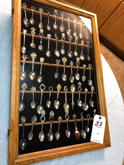 Decorative Spoon Collection in Glass Front Cabinet