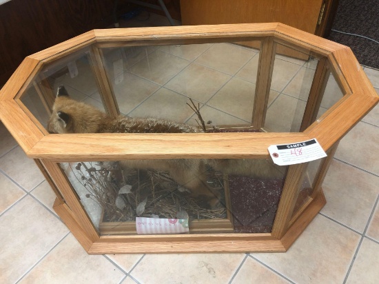 Stuffed Fox in Glass Display Case