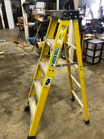 Green Bull 5' fiberglass stepladder