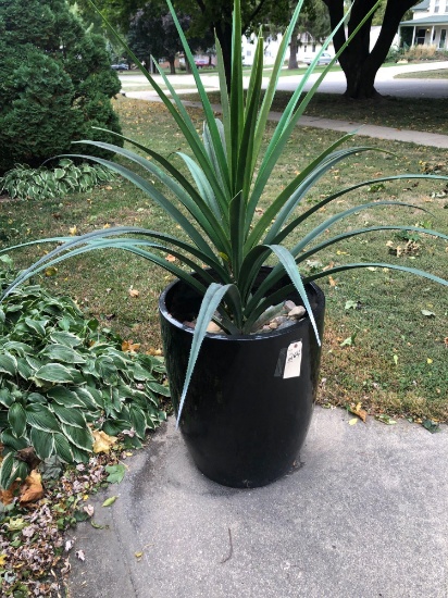 Ceramic Planter 22" R x 27.5" T with Agave Plant. NO SHIPPING!
