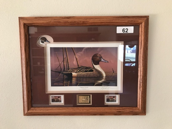 Ducks Unlimited Framed Print w/Stamps "Pintail Drake" by Mark Kness 271/2200, 20.5''x 16''