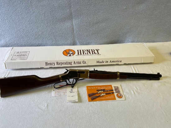 Henry BigBoy .45