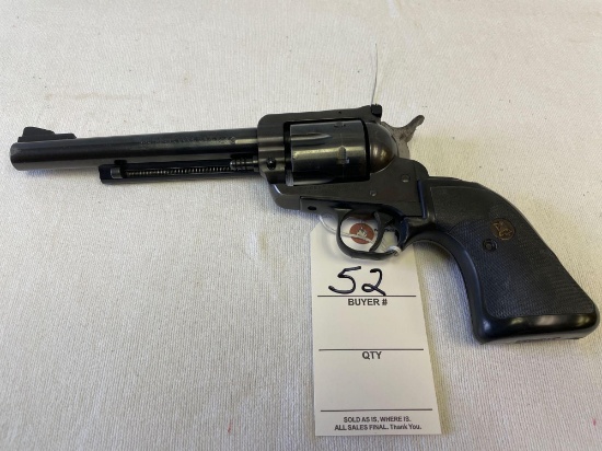 Ruger Blackhawk .357