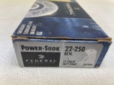 22-250 ammo