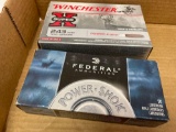 .243 ammo