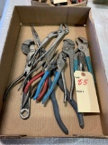 Long needle nose pliers, various sizes of channel locks, wire cutters, miscellaneous needle nose