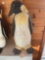 Penguin statue